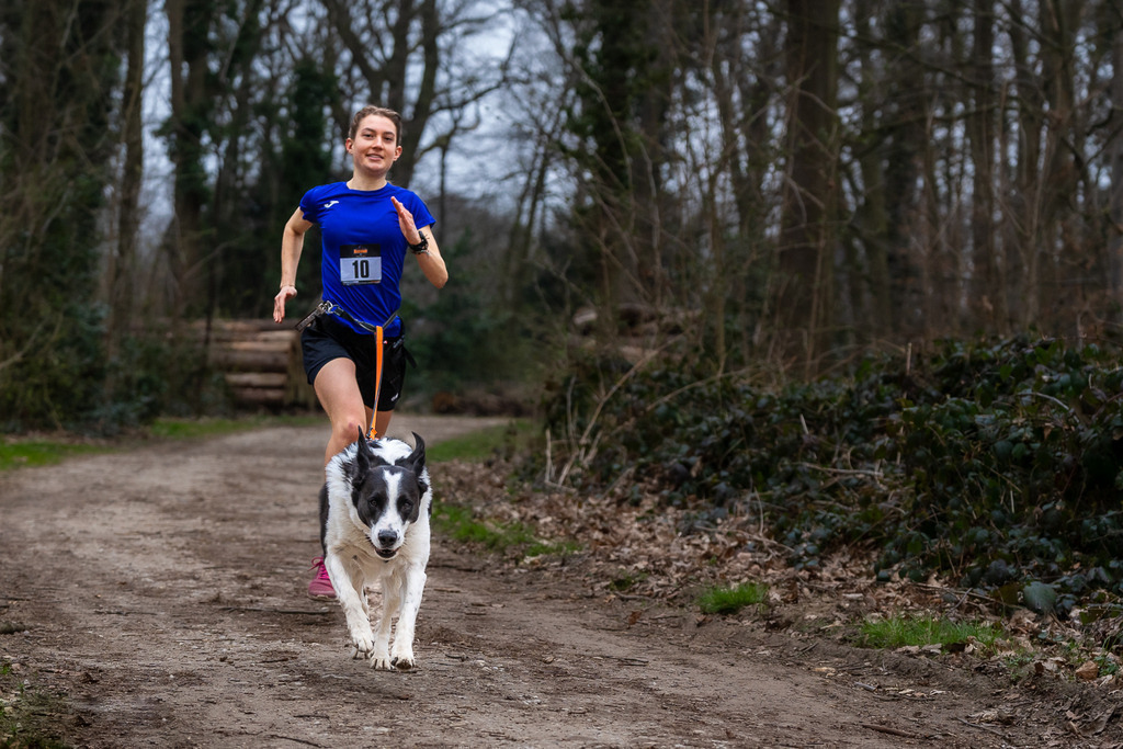 allesWIRTHgut Tierfotografie - 7IV04589 | Professionelle Tierfotografie in Mönchengladbach von Daniel Wirth (allesWIRTHgut). Liebevolle & natürliche Bilder von Hunden & Katzen für unvergessliche Erinnerungen.