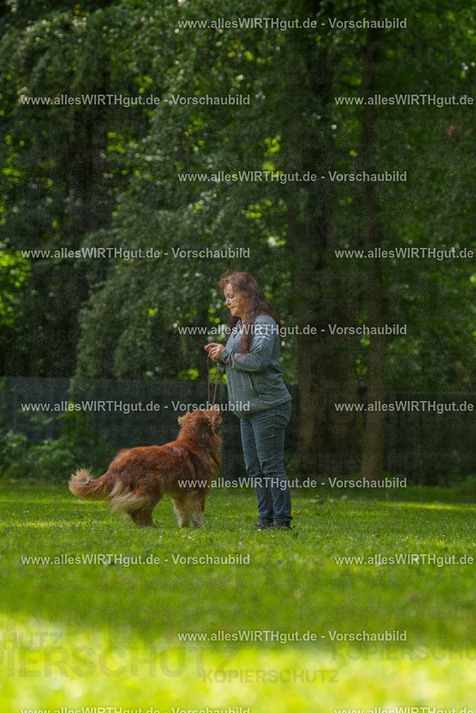 @allesWIRTHgut_Tierfotografie - www.allesWIRTHgut.de - 7R500793 | Professionelle Tierfotografie in Mönchengladbach von Daniel Wirth (allesWIRTHgut). Liebevolle & natürliche Bilder von Hunden & Katzen für unvergessliche Erinnerungen.