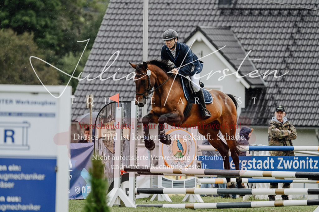 DSC_6989 | Pferde- und Turnierfotografie in Westsachsen. Pferdeportraits, Auftragszeichnungen und intuitive Kunst.