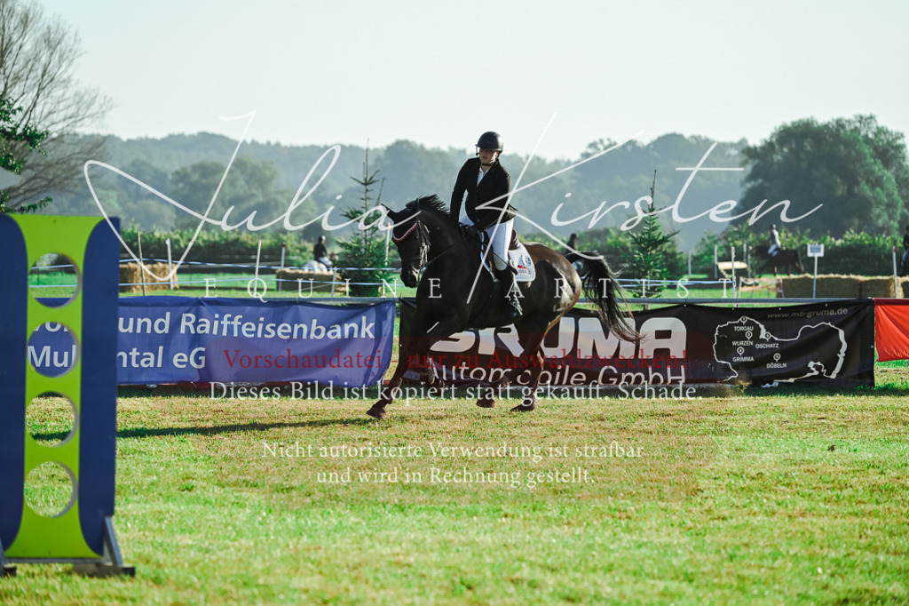 DSC_4386 | Pferde- und Turnierfotografie in Westsachsen. Pferdeportraits, Auftragszeichnungen und intuitive Kunst.