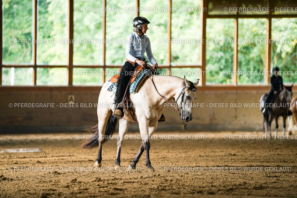 DSC05379 | Pferdegrafie