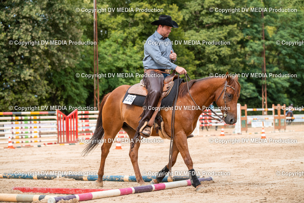 ZS2_8488 | dv-media-shop - Realisiert mit Pictrs.com