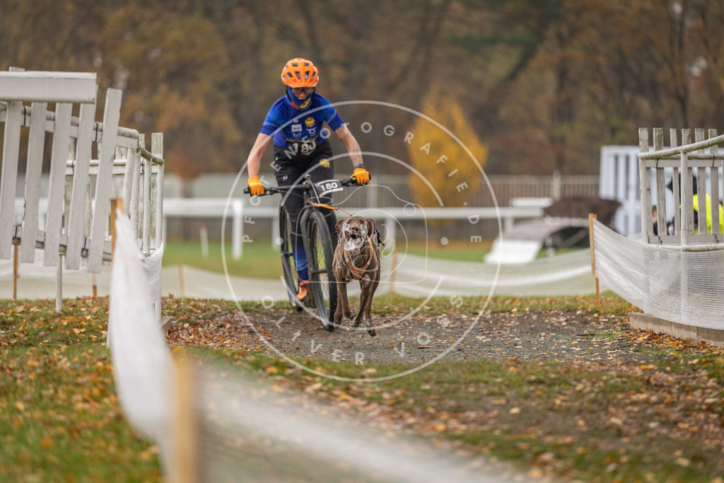 CaniXpix_DV3A8338 | Hundefotografie, Tierfotograf, Pfotenfotografie, Fotoshooting Hund, Hunde Portrait, Hundesport, Hundeportraits, Heideshooting, Hunde, Sportfotograf, Hundefotograf, Turnierhundsport, THS,  - Realisiert mit Pictrs.com