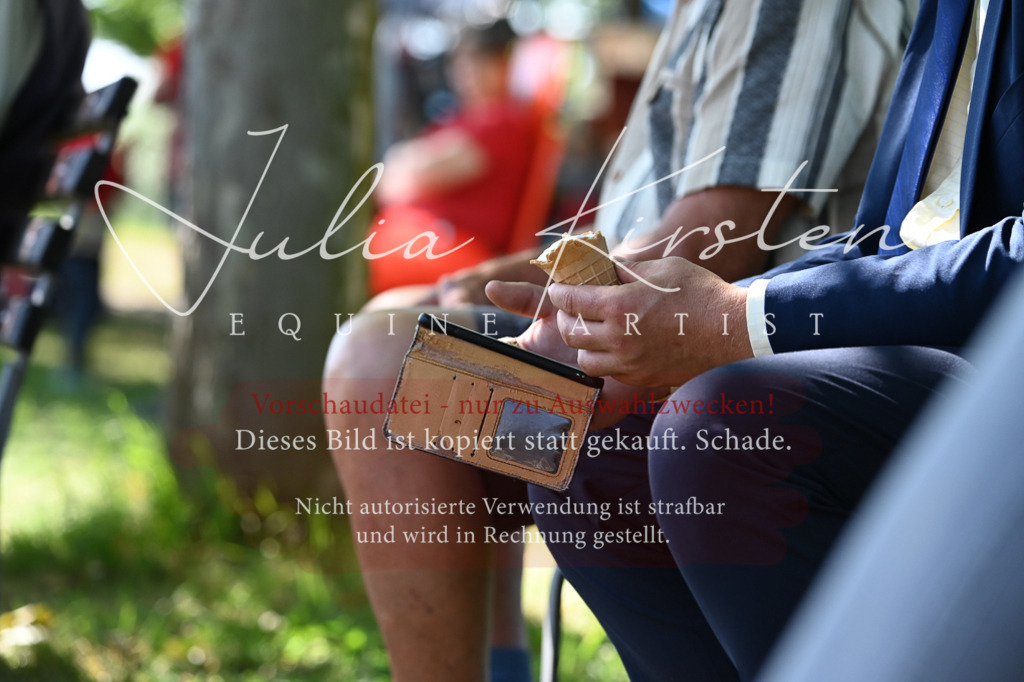 DSC_1806 | Pferde- und Turnierfotografie in Westsachsen. Pferdeportraits, Auftragszeichnungen und intuitive Kunst.