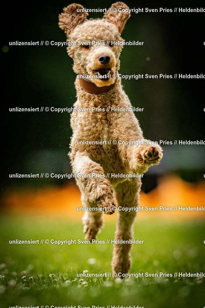 Sven Pries | 2025-05-29 - Pudelrennen KA-Durlach - Realisiert mit Pictrs.com