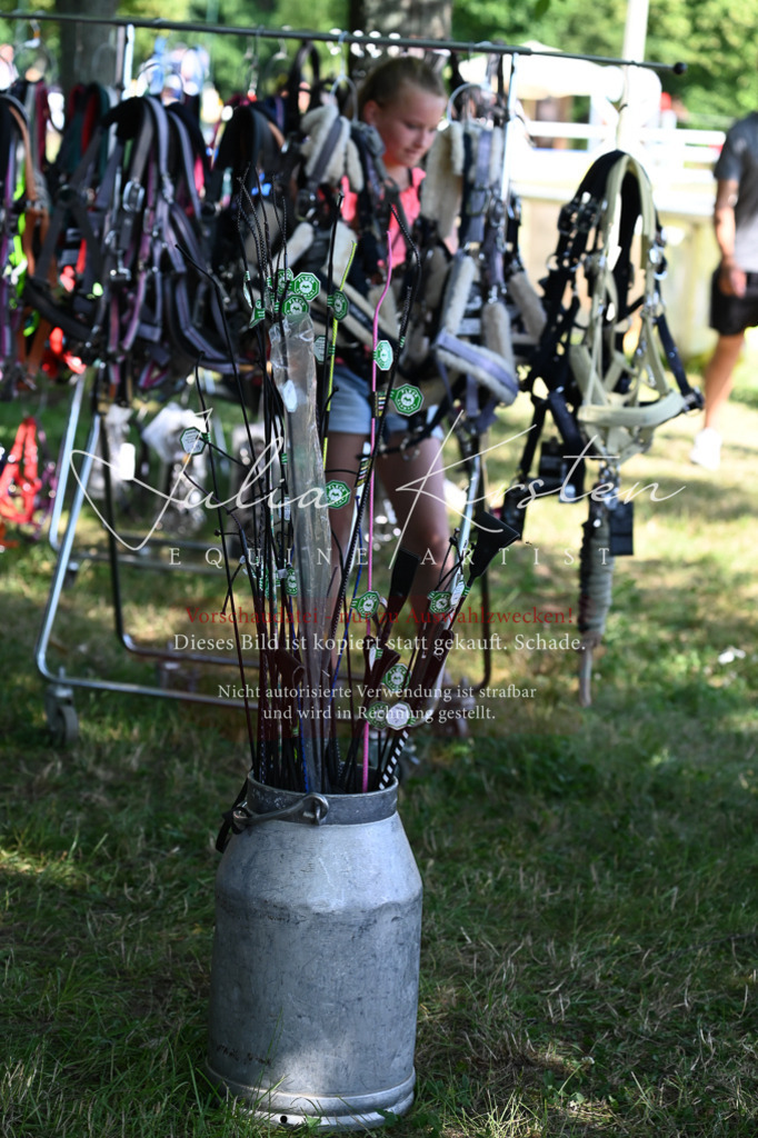 DSC_1825 | Pferde- und Turnierfotografie in Westsachsen. Pferdeportraits, Auftragszeichnungen und intuitive Kunst.