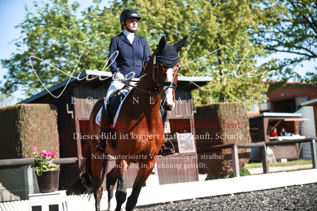 DSC_8539 | Pferde- und Turnierfotografie in Westsachsen. Pferdeportraits, Auftragszeichnungen und intuitive Kunst.