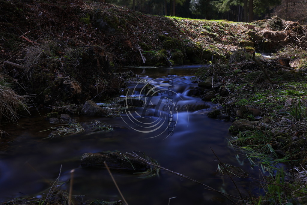 2021_03_28_0078bea | Frank Herberich Fotografie, Frank Herberich, Fotografie, Hochzeit, Portrait, St. Peter Ording, Ording, Westerhever, Nordsee, Frank Fotografie, Hardheim,  Odenwald,Walldürn, Band,Eventfotografie - Realisiert mit Pictrs.com