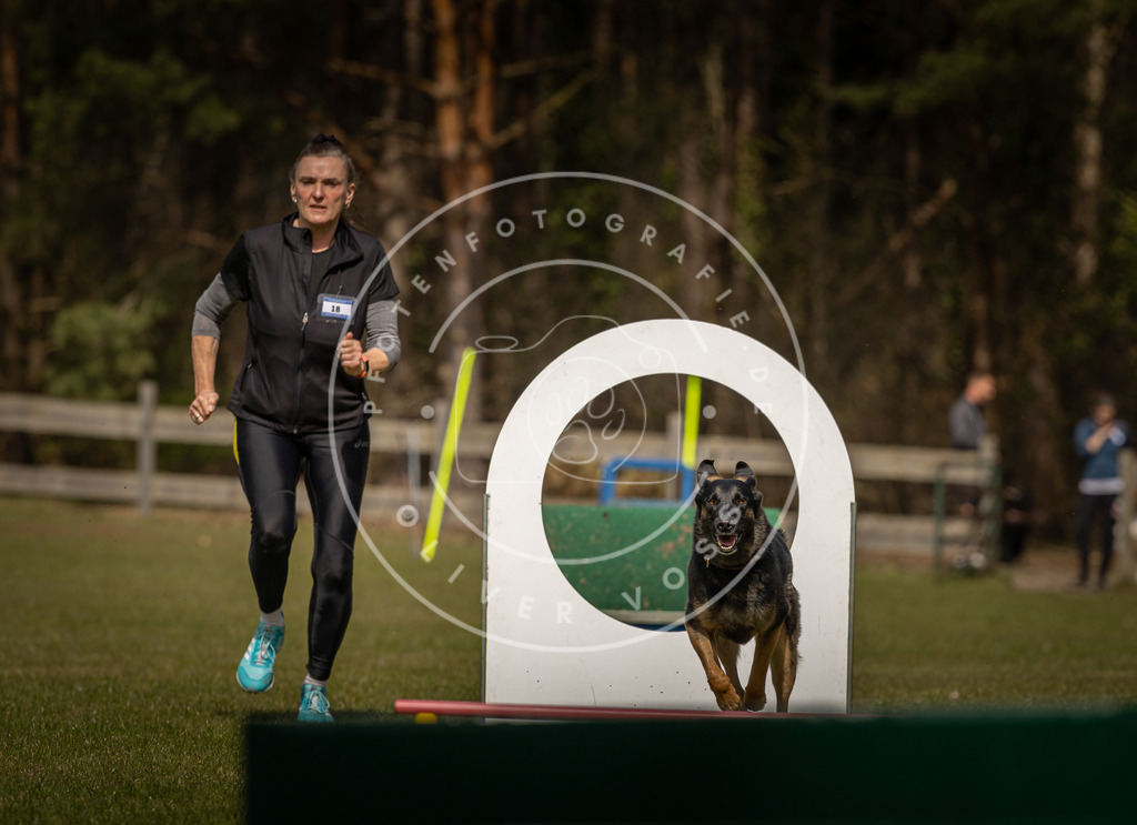 Pfotenfotografie_DV3A5136 | Hundefotografie, Tierfotograf, Pfotenfotografie, Fotoshooting Hund, Hunde Portrait, Hundesport, Hundeportraits, Heideshooting, Hunde, Sportfotograf, Hundefotograf, Turnierhundsport, THS,  - Realisiert mit Pictrs.com