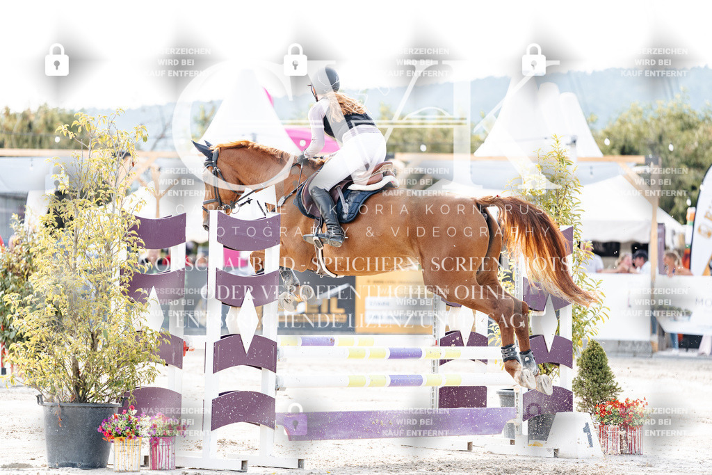 CK906330 | Turnierfotografie Pferdefotografie Trier Rheinland-Pfalz Pferdesport Reitsport Tierfotografie Sportfotografie Pferdevideo Pferdevideografie Equestrianvideography equestrianphotography  - Realisiert mit Pictrs.com