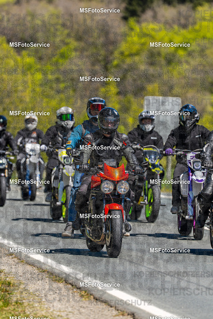 MSFotoServiceXXX426 | MSFotoService - Realisiert mit Pictrs.com
