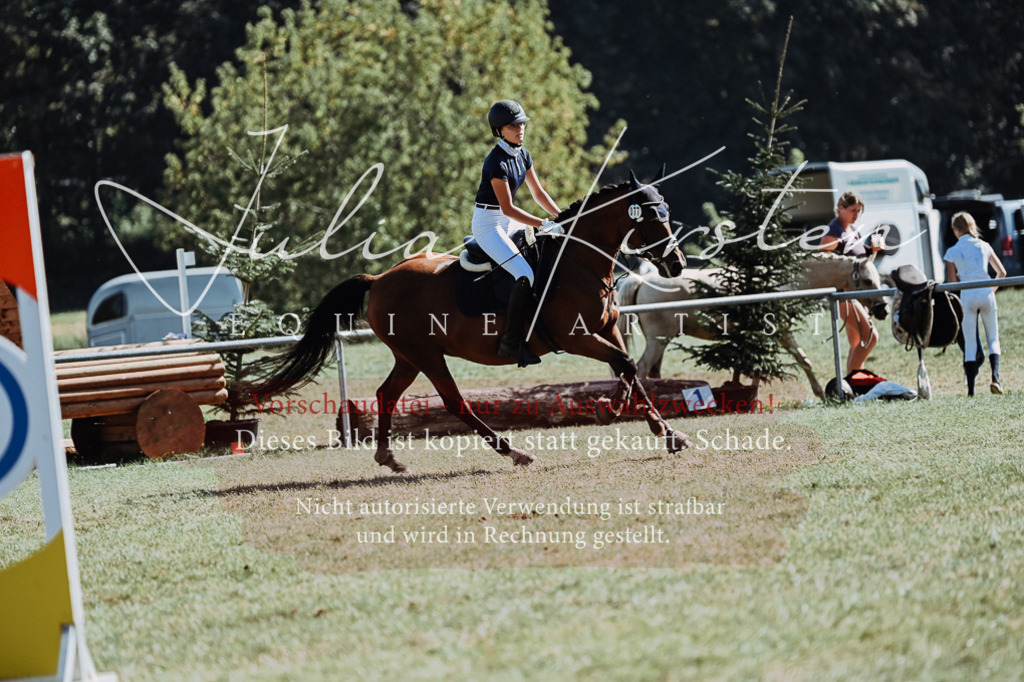 DSC_6957 | Pferde- und Turnierfotografie in Westsachsen. Pferdeportraits, Auftragszeichnungen und intuitive Kunst.
