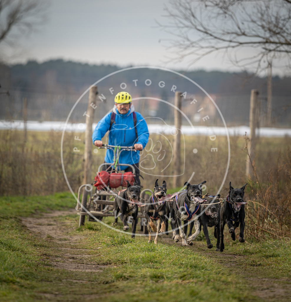 Pfotenfotografie_DV3A6699 | Hundefotografie, Tierfotograf, Pfotenfotografie, Fotoshooting Hund, Hunde Portrait, Hundesport, Hundeportraits, Heideshooting, Hunde, Sportfotograf, Hundefotograf, Turnierhundsport, THS,  - Realisiert mit Pictrs.com