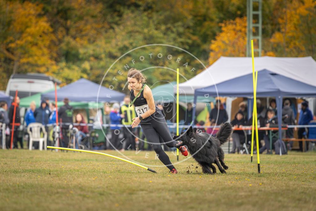 Pfotenfotografie_DV3A3558 | Hundefotografie, Tierfotograf, Pfotenfotografie, Fotoshooting Hund, Hunde Portrait, Hundesport, Hundeportraits, Heideshooting, Hunde, Sportfotograf, Hundefotograf, Turnierhundsport, THS,  - Realisiert mit Pictrs.com