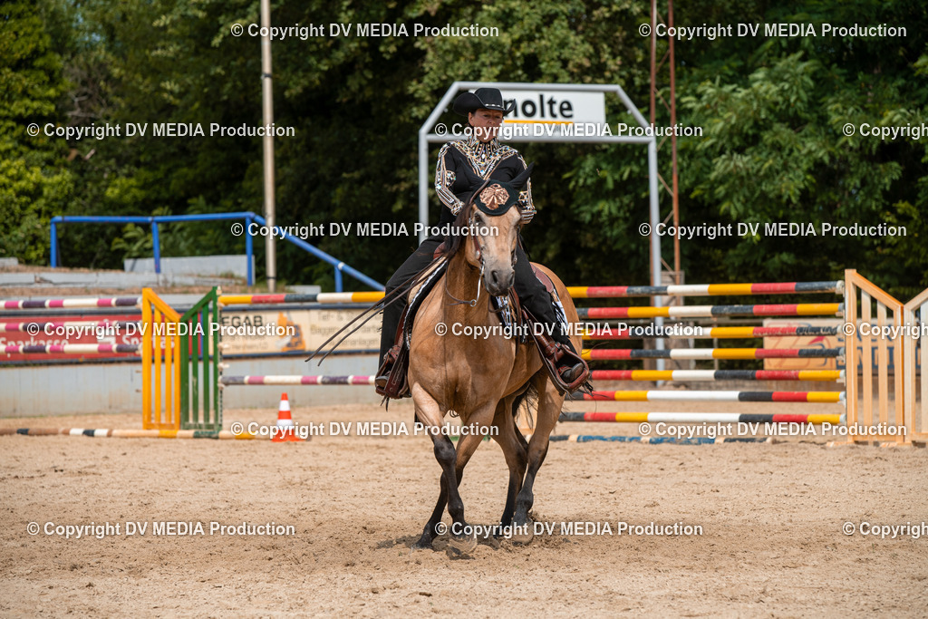 EWP_6012 | dv-media-shop - Realisiert mit Pictrs.com