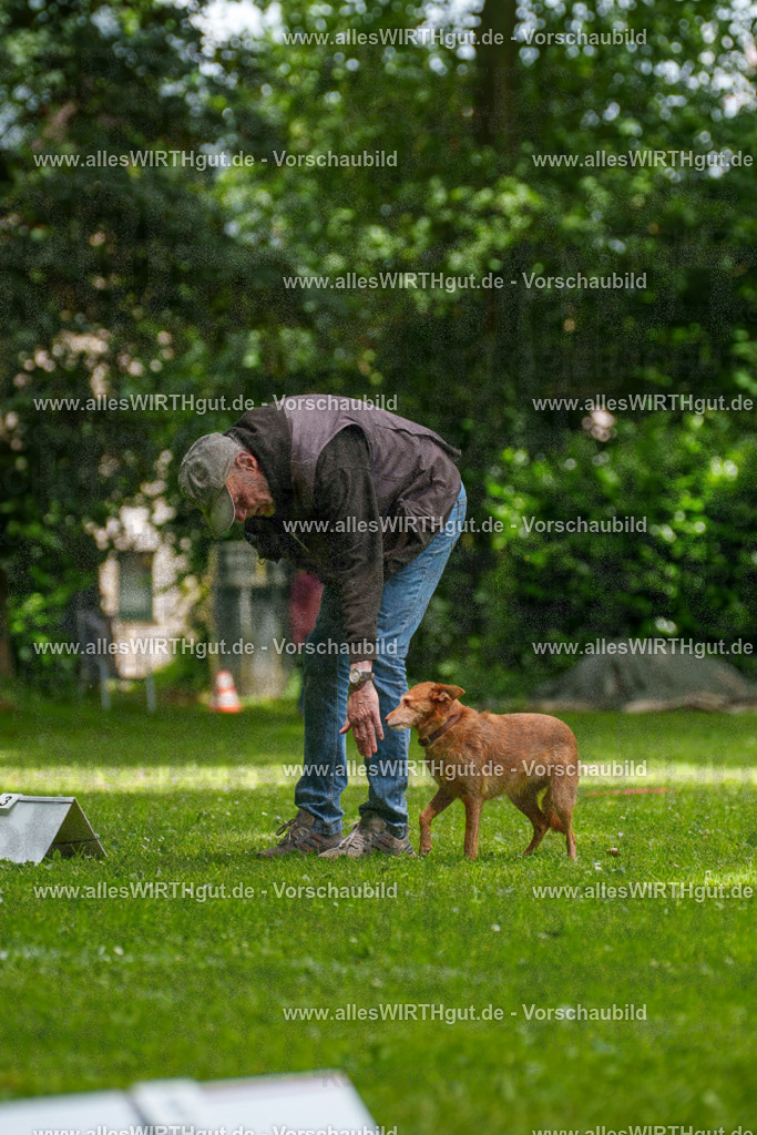 @allesWIRTHgut_Tierfotografie - www.allesWIRTHgut.de - 121526-7R508733 | Professionelle Tierfotografie in Mönchengladbach von Daniel Wirth (allesWIRTHgut). Liebevolle & natürliche Bilder von Hunden & Katzen für unvergessliche Erinnerungen.