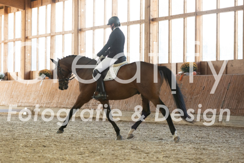 IMG_3628 | Creatify Fotografie