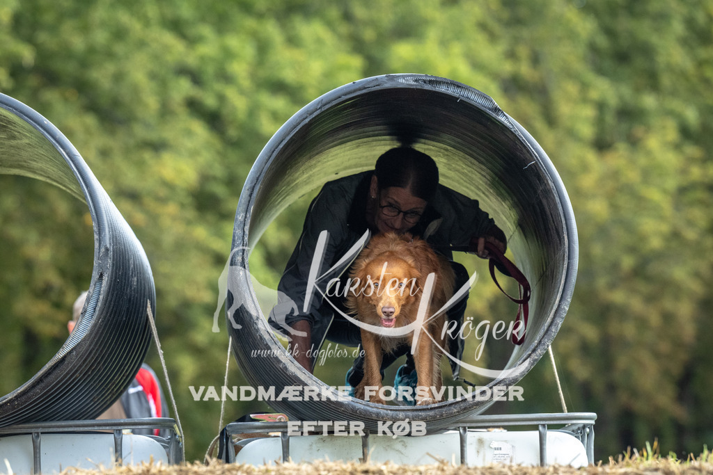 1037_ZZ92624 | kk-dogfotos
