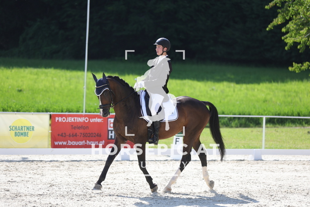 0P6A2333 | Willkommen bei Brunnmayr - Design & Fotografie – Ihrem Spezialisten für Reitturniere und Pferdeveranstaltungen in Oberösterreich, Salzburg und Bayern! Seit über 17 Jahren sind wir leidenschaftlich dabei.