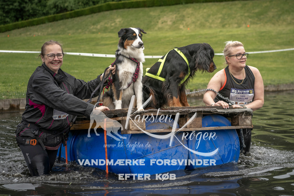 1008_ZZ94546 | kk-dogfotos