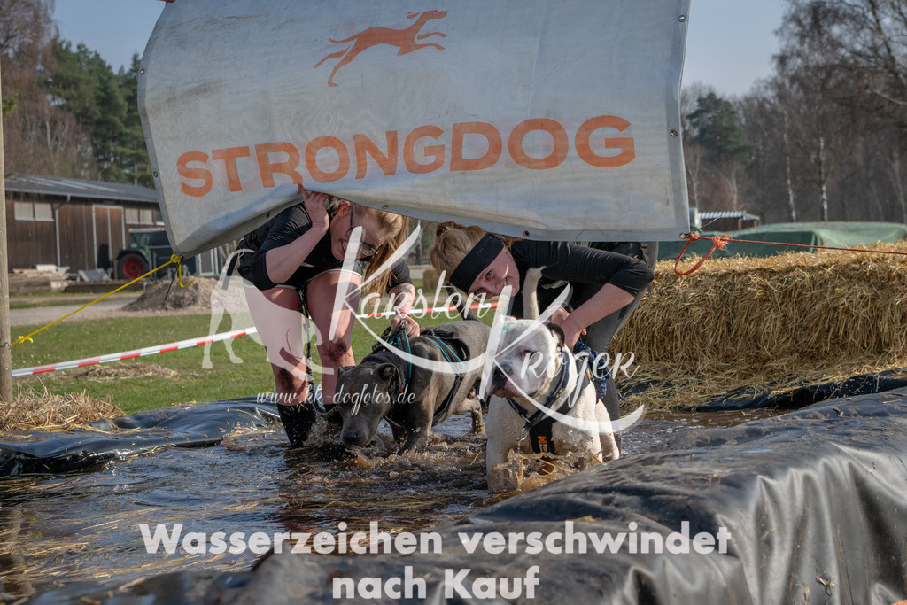 _ZZ90824 | kk-dogfotos