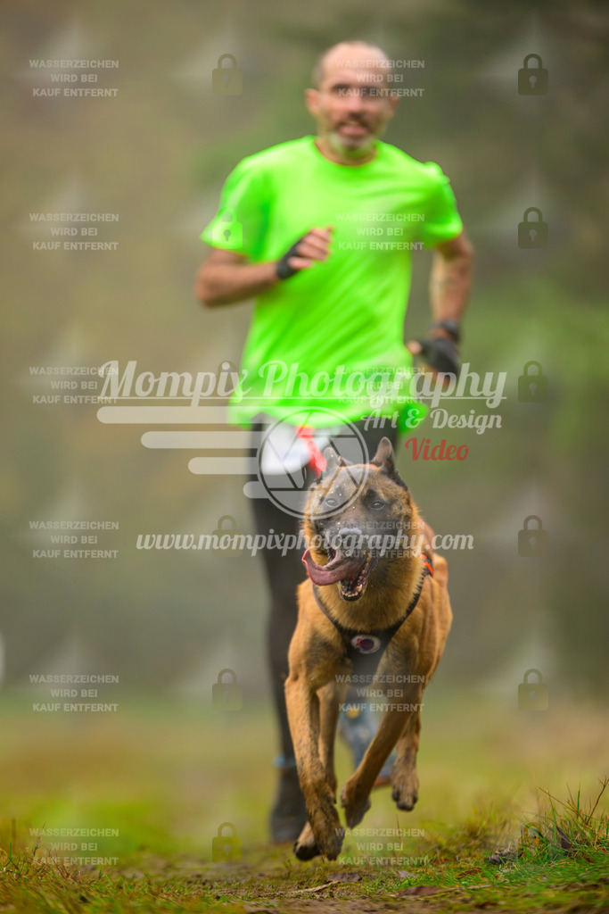 MompixPhotography_Bischwiller2025_Canicross-153 | mompixphotography