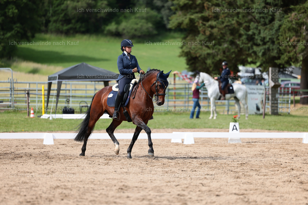 Masterclass_stoibphotography_C2_L4878.JPG | working equitationturnier fotograf videograf stoibphotography marixx film working equitation deutschland reitsport turnierfotografie eventfotografie equestrian events