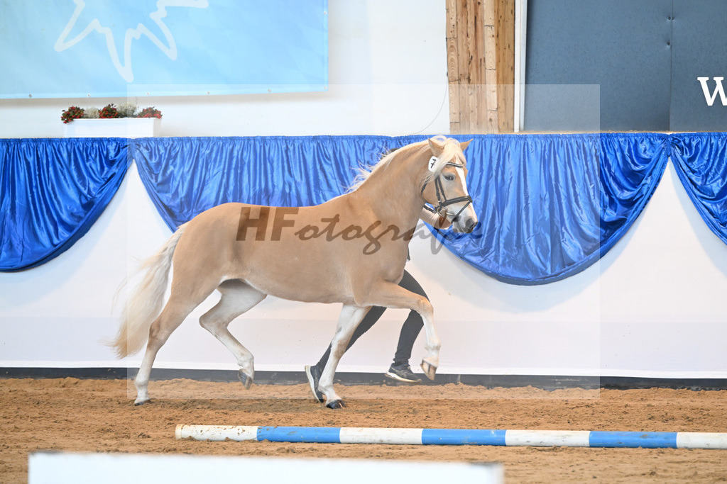 Kat-Nr. 7 Daria v. Armani Ass_Obermaier_60221107 | hf-fotografie - Realisiert mit Pictrs.com