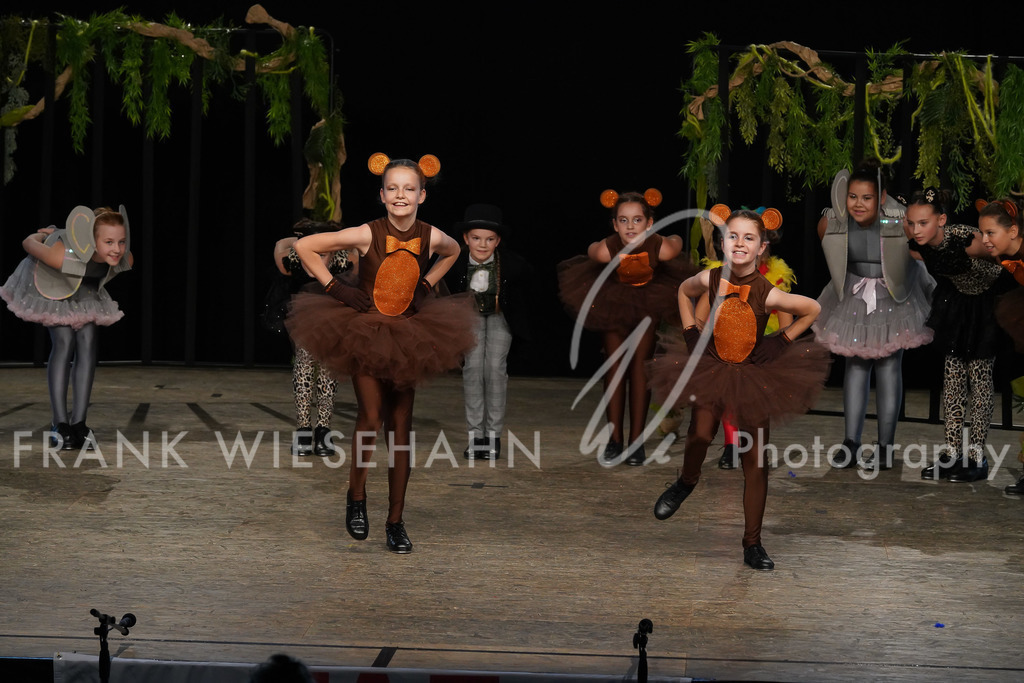 steppdm22_3884 | FRANK WIESEHAHN MEDIA - Realisiert mit Pictrs.com