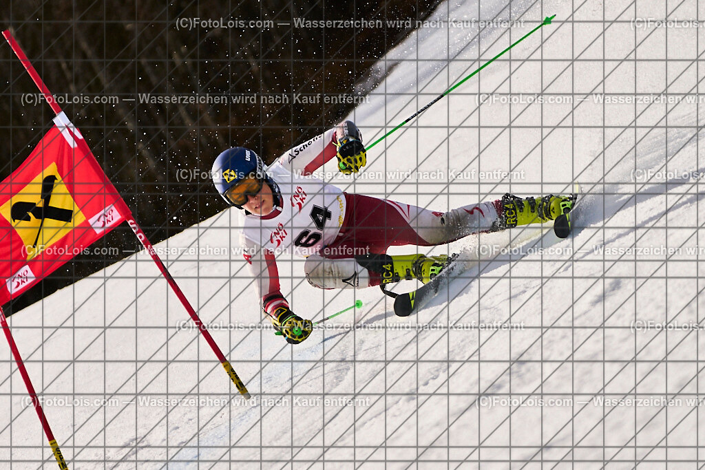 ALP8926_Herrn-FIS-GS-II_Lackenhof-WY_BESENDORFER Stephan | Internationaler FIS GiantSlalom der Herrn auf der Distelpiste in Lackenhof am Di 11. März 2025.  Österreich, LSV-NÖ, Sportunion Waidhofen/Ybbs (2035).