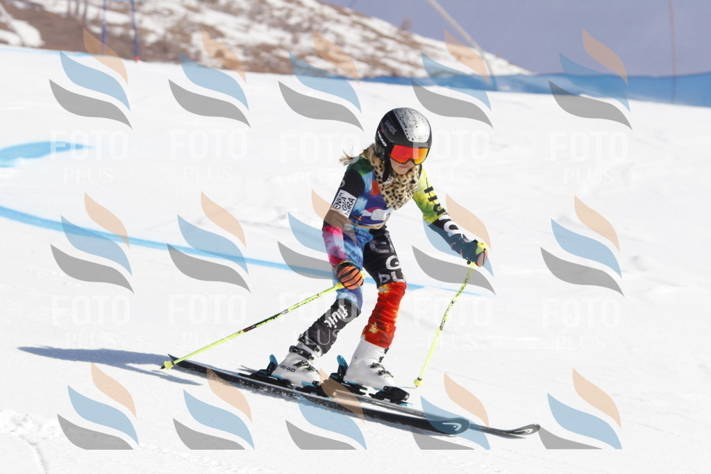 _U3G8574 | holidayphoto