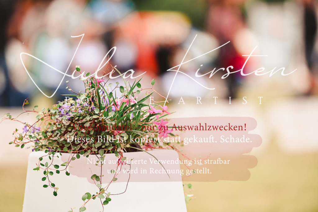 DSC_5182 | Pferde- und Turnierfotografie in Westsachsen. Pferdeportraits, Auftragszeichnungen und intuitive Kunst.