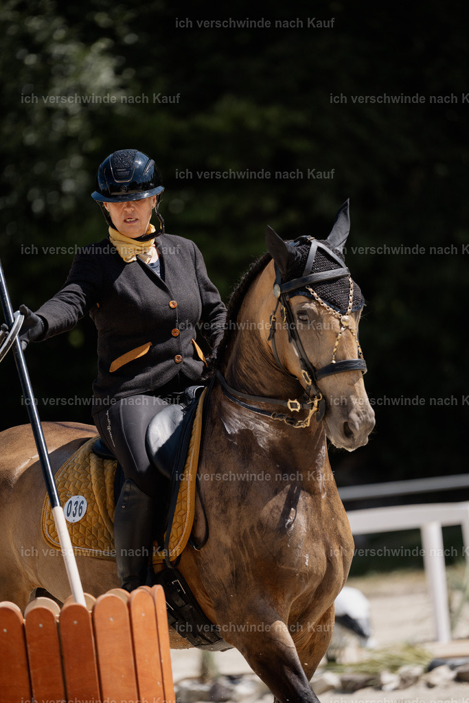 WM_ST_36_stoibphotography__SO11311 | working equitationturnier fotograf videograf stoibphotography marixx film working equitation deutschland reitsport turnierfotografie eventfotografie equestrian events