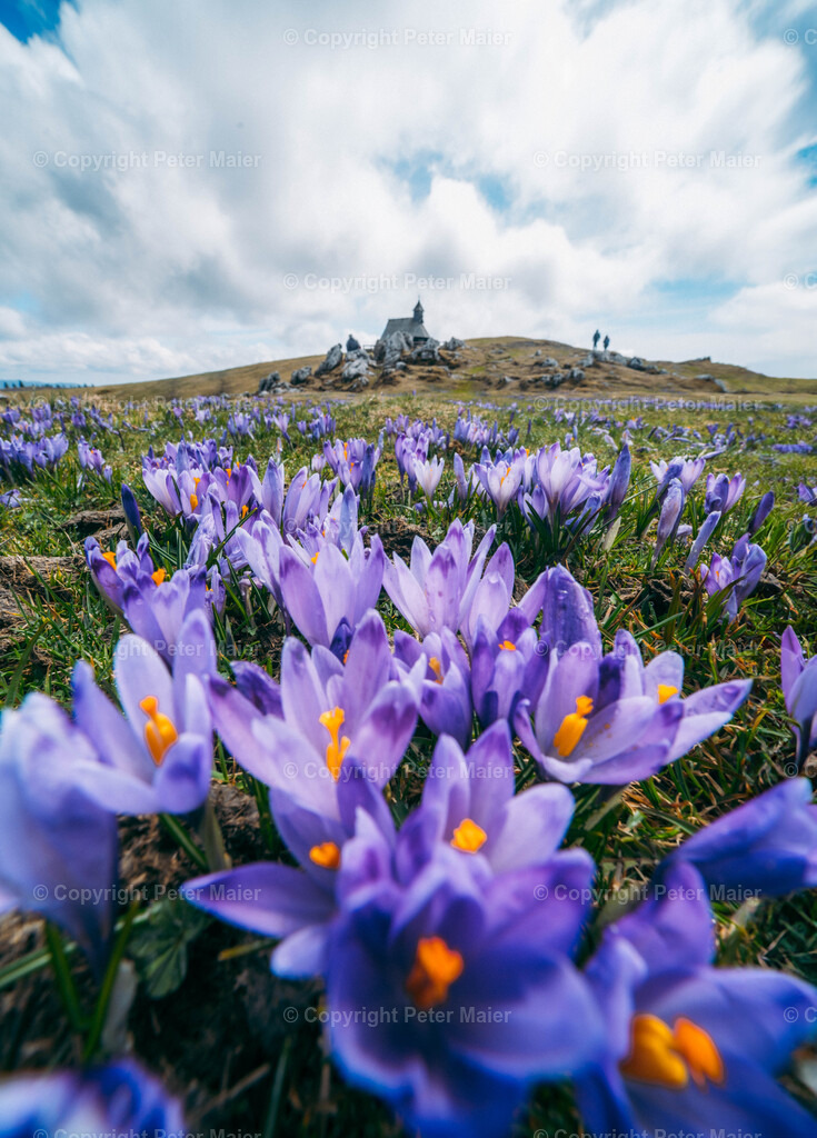 Velika Planina29 | piet_flosse