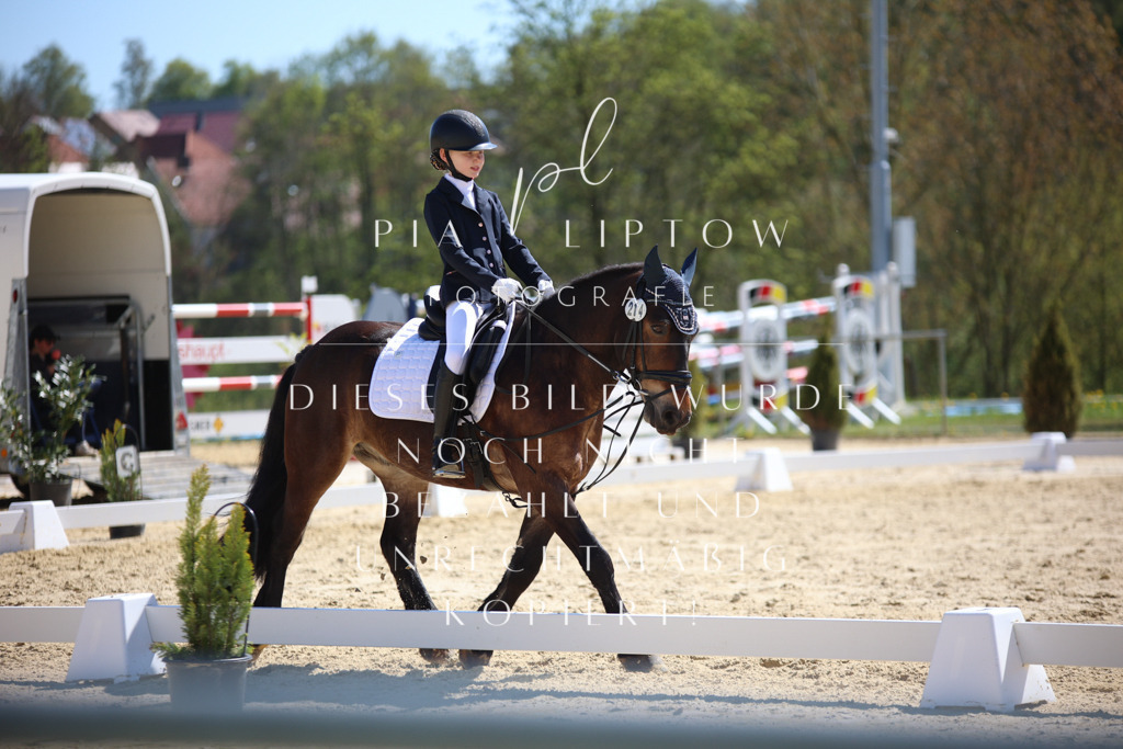 IMGT0515 | pl-fotografie