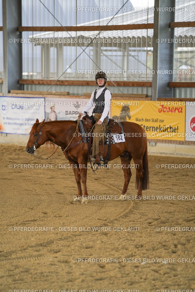 DSC08978 | Pferdegrafie