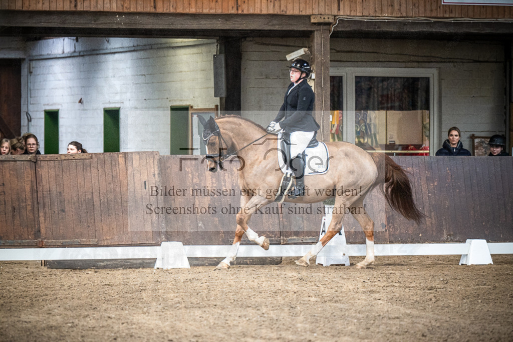 DOS_0203 | Entdecke hochwertige Reitturnierfotos von Foto Oger. Professionell, emotional und authentisch – jetzt Lieblingsmomente im Shop bestellen.Deutschlandweite Turnierfotografie. - Realisiert mit Pictrs.com