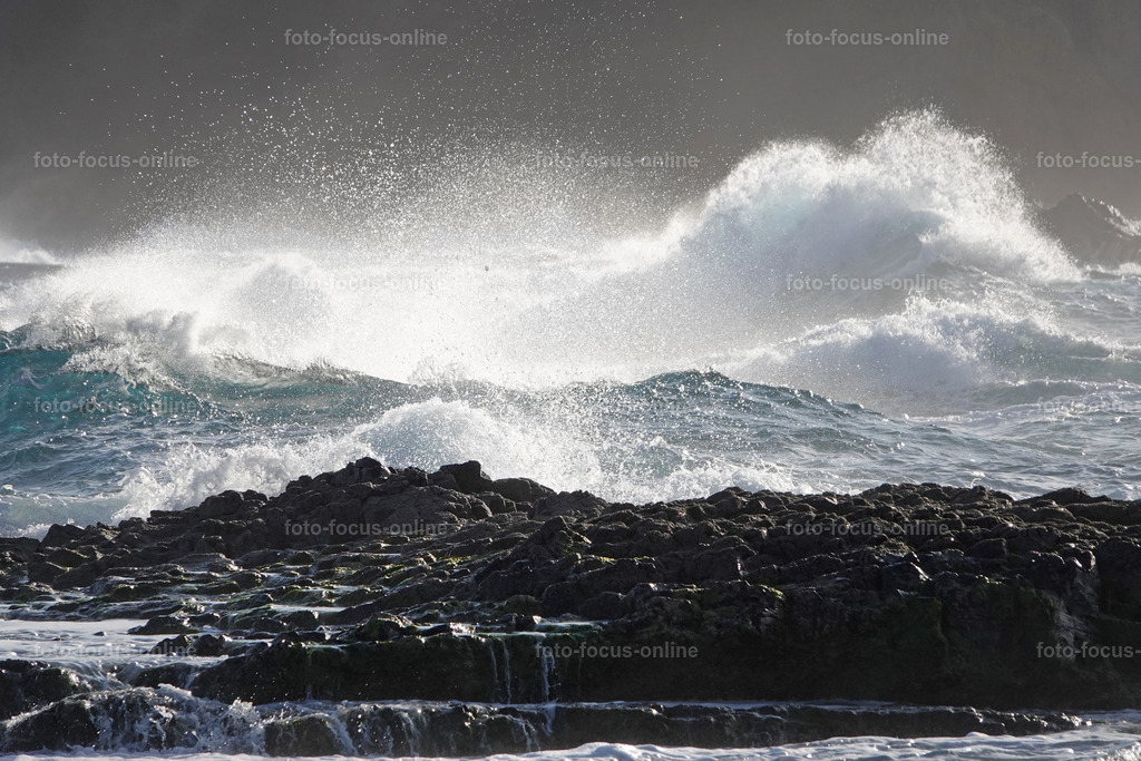 waves | Elemental power of the waves