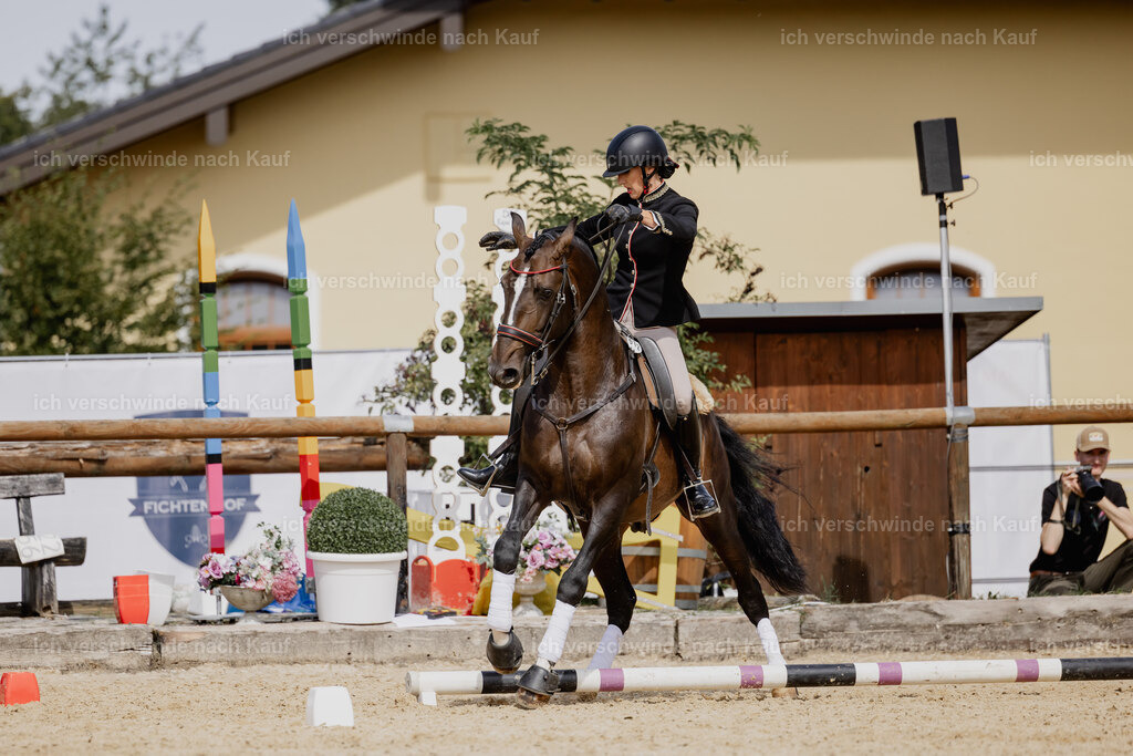 Virginie12FHC2025-20668 | working equitationturnier fotograf videograf stoibphotography marixx film working equitation deutschland reitsport turnierfotografie eventfotografie equestrian events