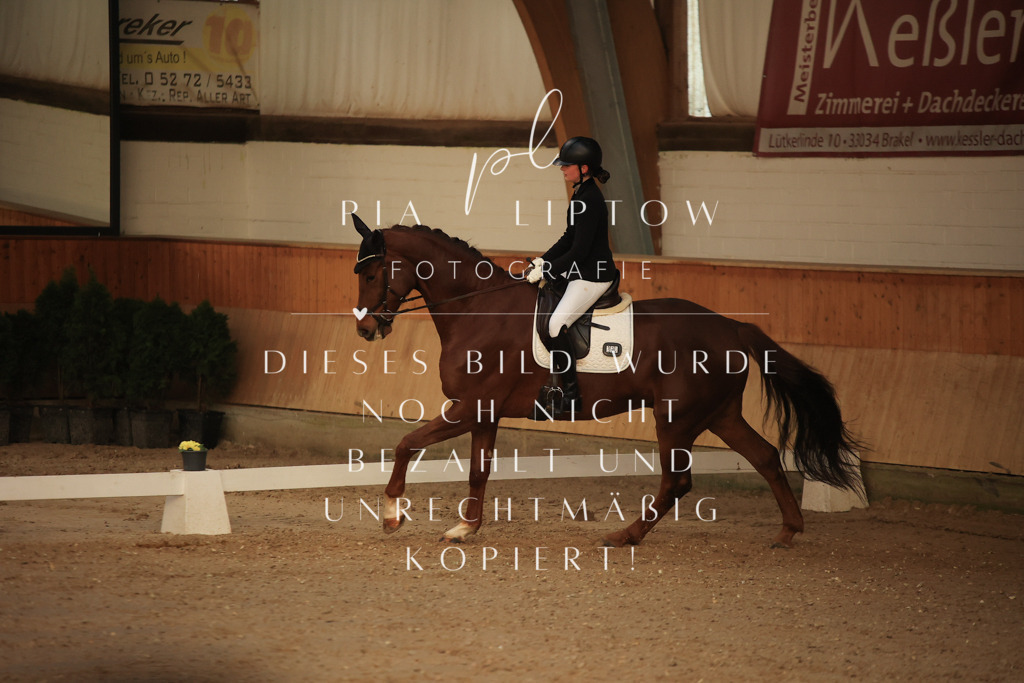 IMGT3310 | pl-fotografie