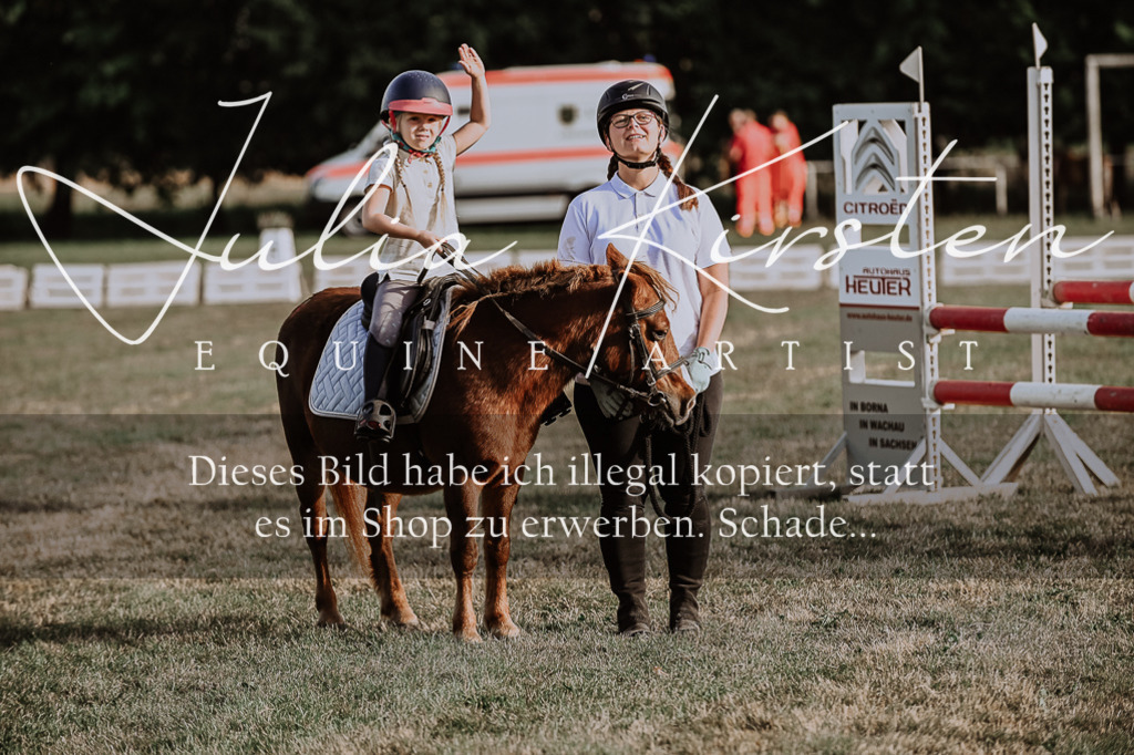 DSC_0129 | Pferde- und Turnierfotografie in Westsachsen. Pferdeportraits, Auftragszeichnungen und intuitive Kunst.