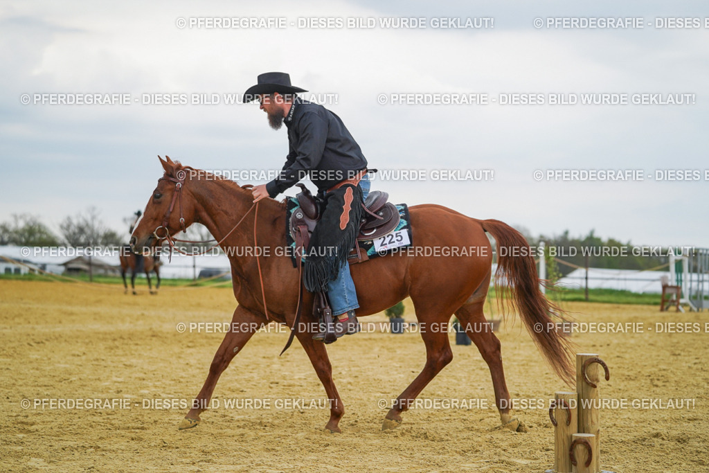 DSC08213 | Pferdegrafie