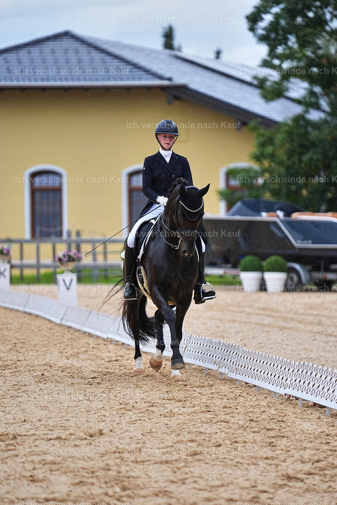 8_1-212-Klasse S_  -Marixx-4261 | working equitationturnier fotograf videograf stoibphotography marixx film working equitation deutschland reitsport turnierfotografie eventfotografie equestrian events