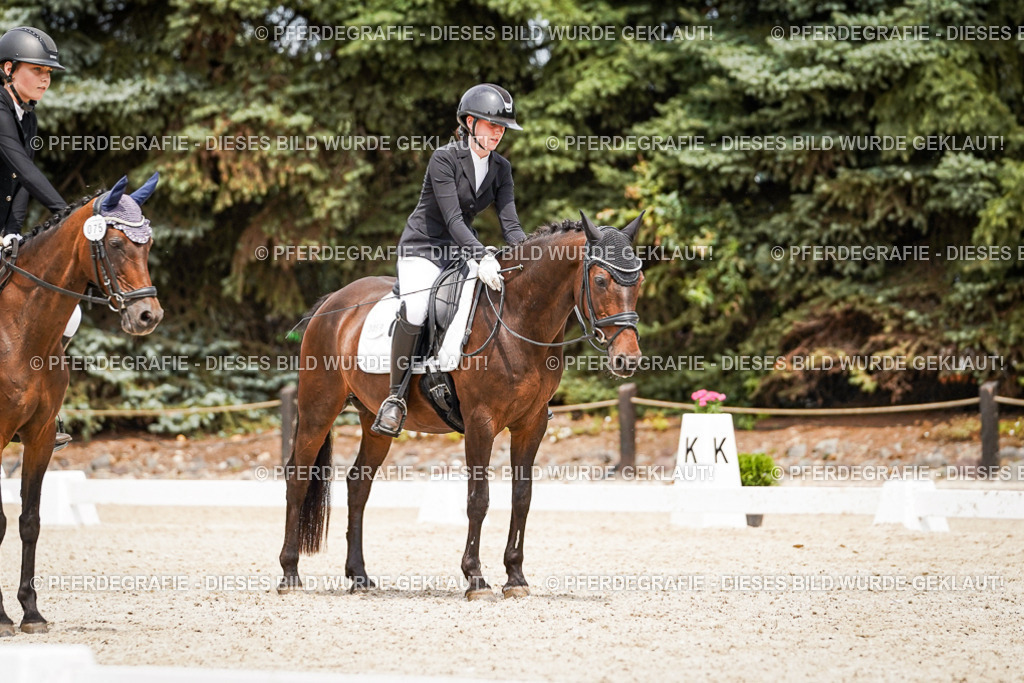 DSC04171 | Pferdegrafie