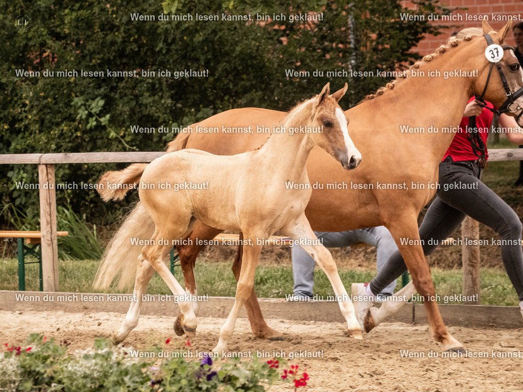 A10I2787 15.56.13 | photographylinaismer - Realisiert mit Pictrs.com