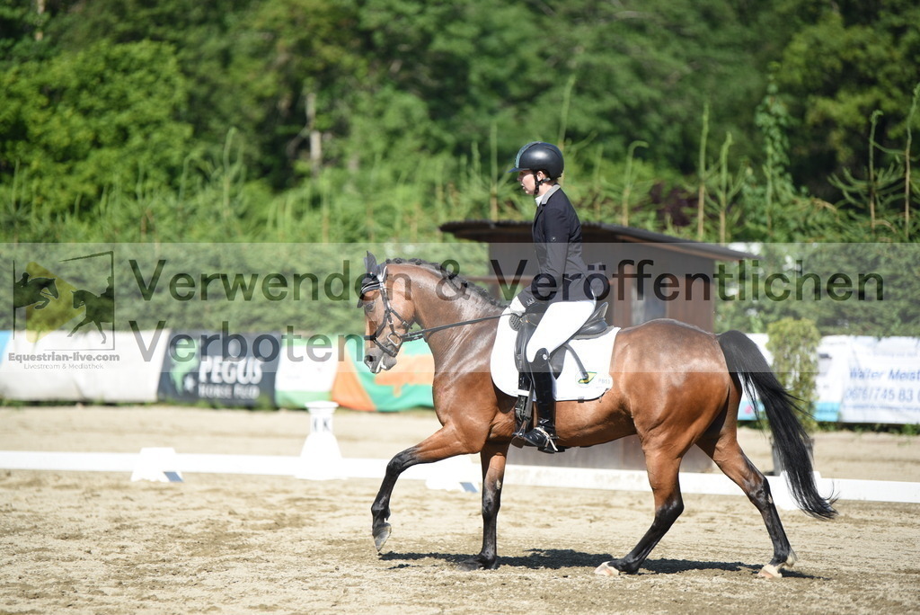 DSC_7626 | equestrian-live-com
