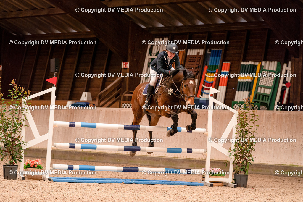 Springen Tag 1-579 | dv-media-shop - Realisiert mit Pictrs.com