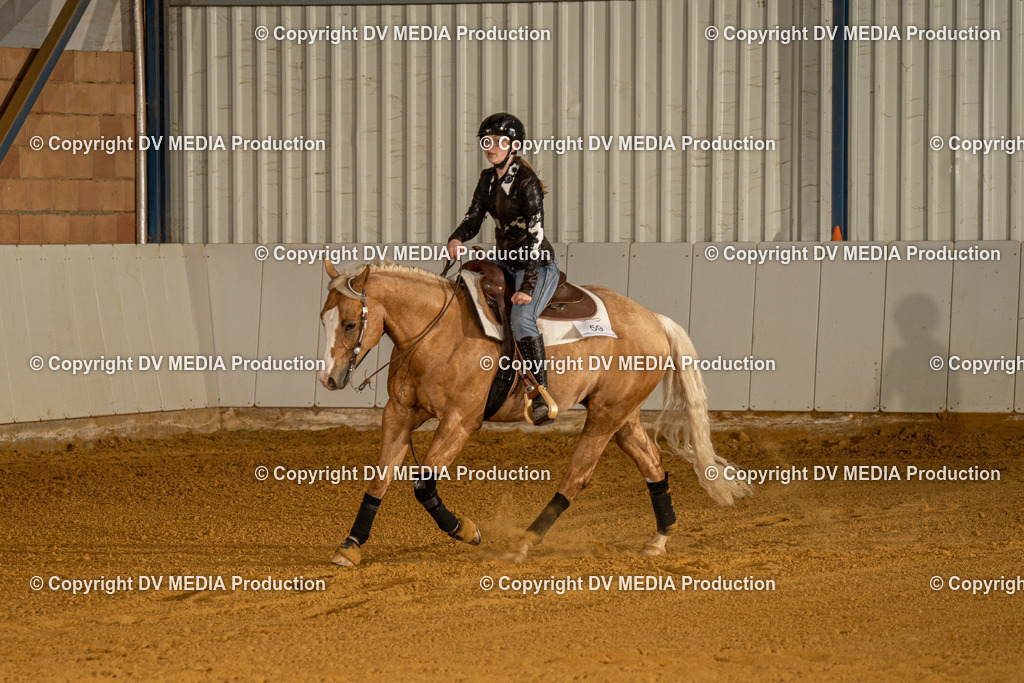 MIT00553 | dv-media-shop - Realisiert mit Pictrs.com