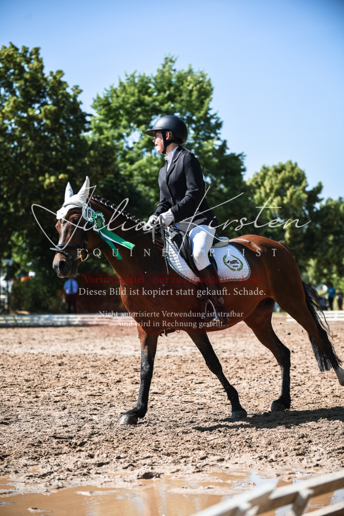 DSC_3720 | Pferde- und Turnierfotografie in Westsachsen. Pferdeportraits, Auftragszeichnungen und intuitive Kunst.