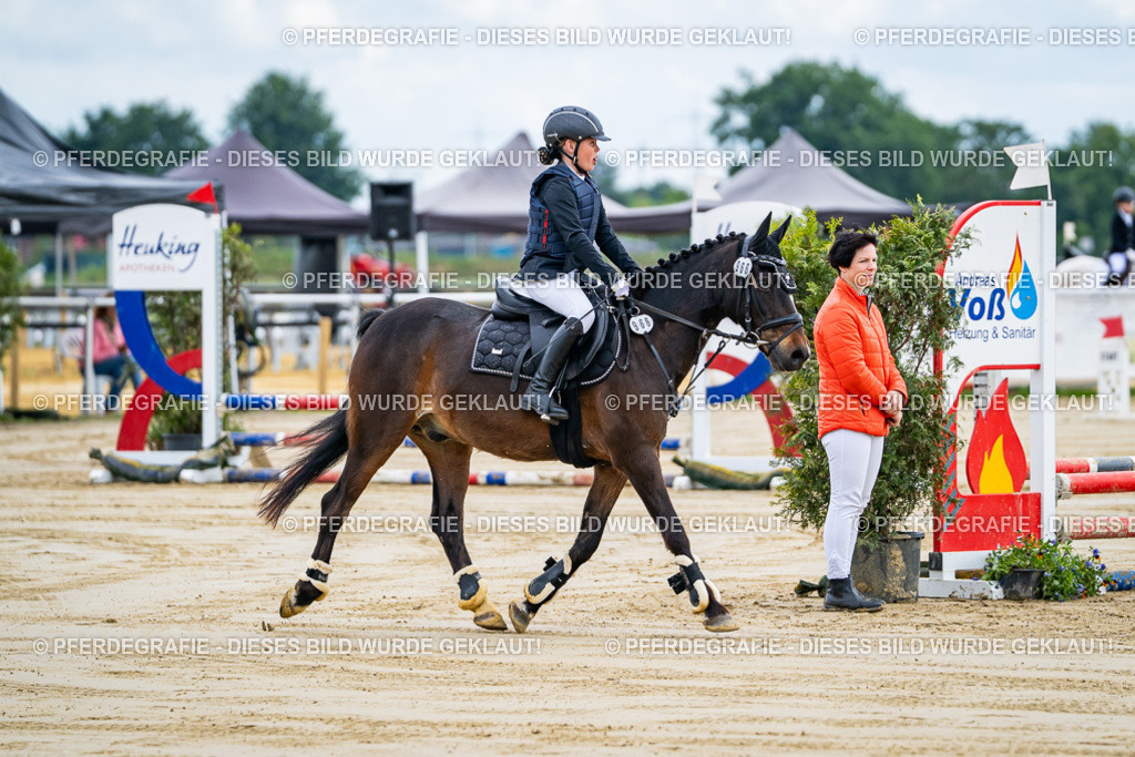 DSC06417 | Pferdegrafie